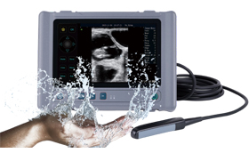 Veterinary Ultrasound Scanners