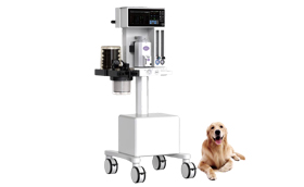 Veterinary Anesthesia Solution